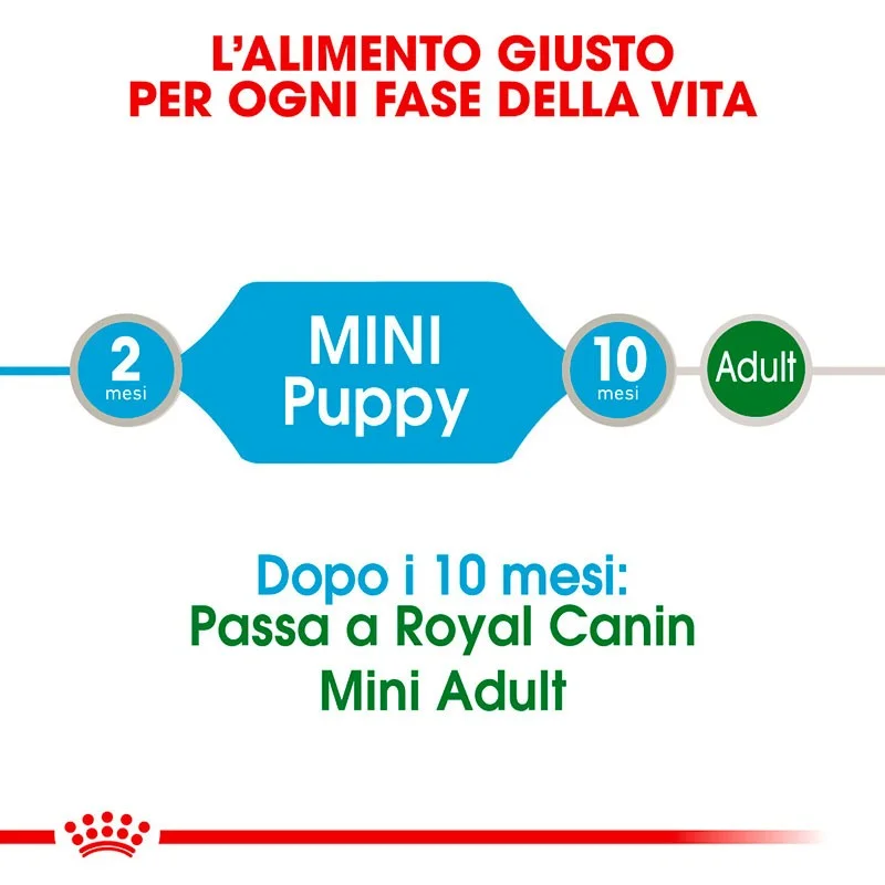 ROYAL CANIN CANE BUSTE MINI PUPPY GR 85 X 12 - immagine 5