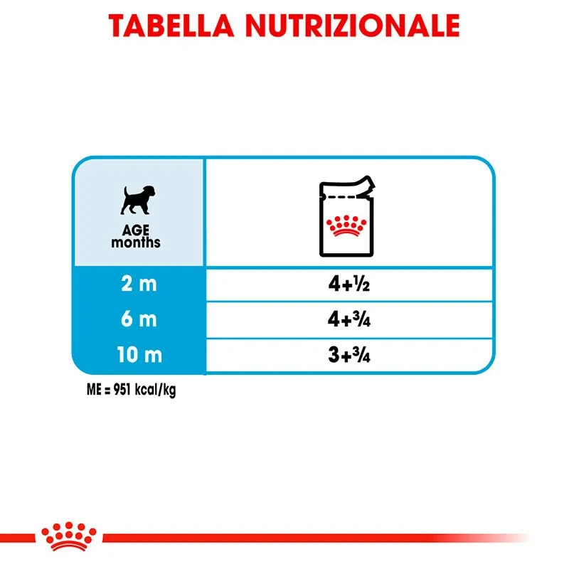 ROYAL CANIN CANE BUSTE MINI PUPPY GR 85 X 12 - immagine 6