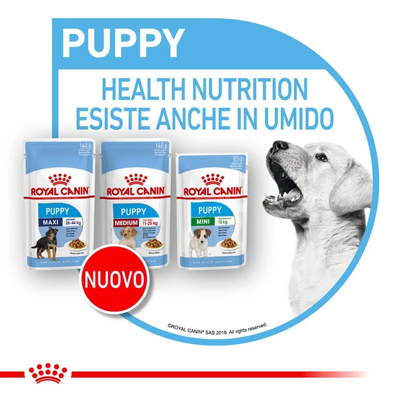 ROYAL CANIN CANE BUSTE MINI PUPPY GR 85 X 12 - immagine 8